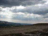 t5fRgBQGF8k.webp