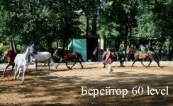 генерал)).webp