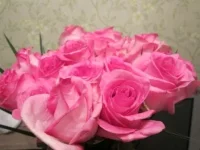 IMG_0689.webp