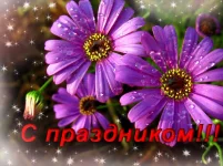 IMG_0957.psd.webp