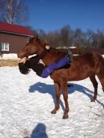 image-1.webp