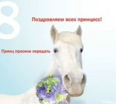 143.webp