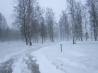 IMG_0694.webp