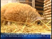 TVCAMdevice_20130222_205312.109.webp