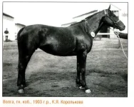 Волга 1903..webp