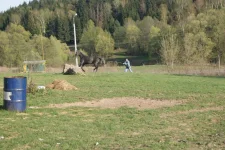 getImage (3).webp