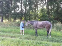 getImage (46).webp