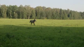 getImage (51).webp