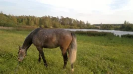 2_0torahggM.webp