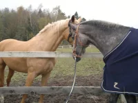 jFT9q2bHF_Y.webp