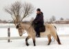 DSC_4441.JPG