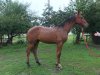 IMG-20190807-WA0000.jpg