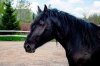 IMG-20190830-WA0021.jpg