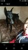 IMG-20191005-WA0000.jpg