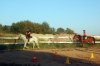 DSC_0510.JPG