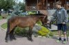 DSC_0020.JPG DSC_0020.JPG