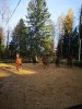 IMG-20191015-WA0005.jpg