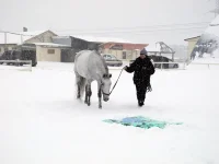 DSCN2622.webp