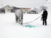 DSCN2626.webp