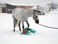 DSCN2652.webp