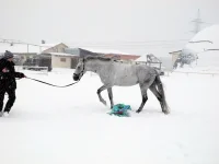 DSCN2656.webp