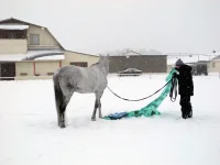 DSCN2660.webp