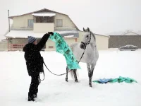 DSCN2666.webp