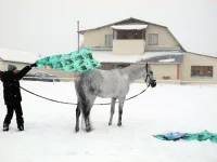 DSCN2674.webp