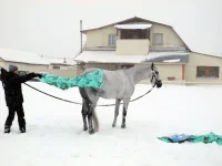 DSCN2675.webp