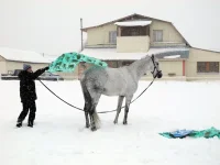 DSCN2679.webp