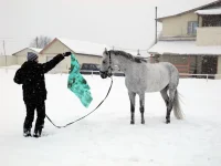 DSCN2687.webp