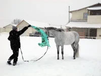 DSCN2688.webp
