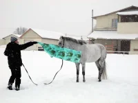 DSCN2689.webp