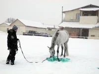 DSCN2696.webp