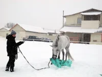 DSCN2700.webp