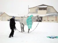 DSCN2702.webp