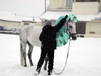 DSCN2704.webp