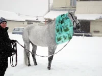 DSCN2705.webp