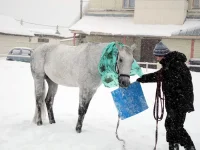 DSCN2709.webp