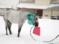 DSCN2717.webp
