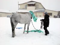 DSCN2727.webp