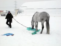 DSCN2729.webp