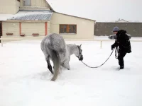 DSCN2748.webp