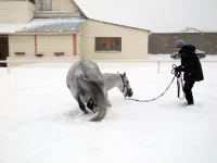 DSCN2749.webp