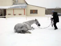DSCN2750.webp