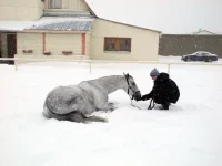DSCN2751.webp