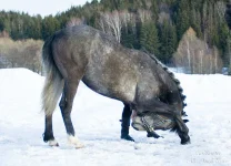 getImage (4).webp