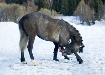 getImage (5).webp