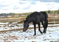 DKkiuML674U.webp