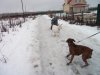 DSCF3370.jpg